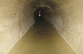 Sewer diversion
 image